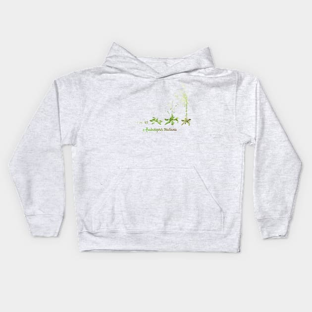 Arabidopsis thaliana development Kids Hoodie by anamarioline